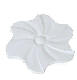blossom