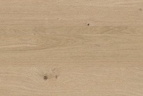 wave-ocean - Pepper Oak